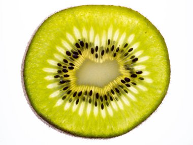 Beyaz arkaplanda yeşil kivi