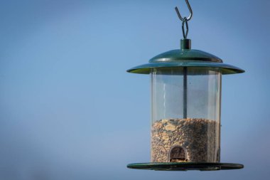 Gökyüzü arka planında kuş besleme