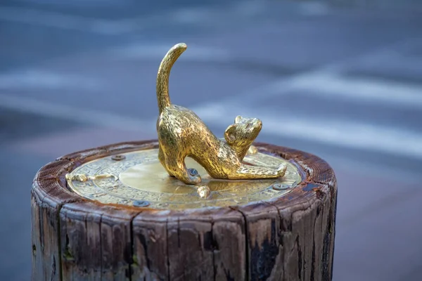 Close Golden Sculpture Cat — Stock Photo, Image