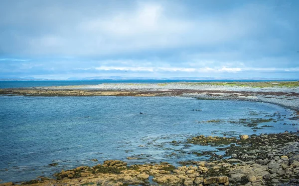 Glengarriff Garinish Adası Inishmore Aran Adaları Rlanda Arasındaki Güzel Foklar — Stok fotoğraf