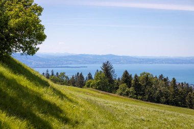 Lutzenreute ve Eichenberg 'den Lindau Adası ve Ren Vadisi ile Constance Gölü' ne harika bir manzara.