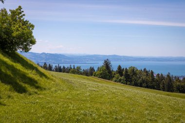 Lutzenreute ve Eichenberg 'den Lindau Adası ve Ren Vadisi ile Constance Gölü' ne harika bir manzara.
