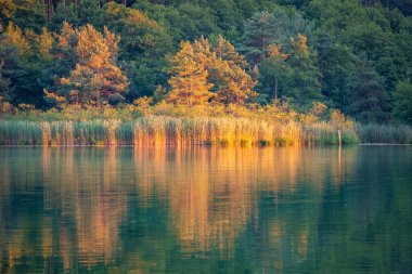 Almanya, Lindau yakınlarındaki Degersee 'de gün batımında harika renkler görülüyor.