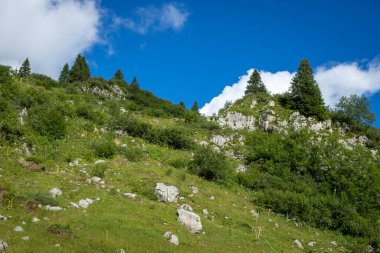 Avusturya 'nın Vorarlberg şehrinde Zuerser' de arama yapmak için listeyi kullan.