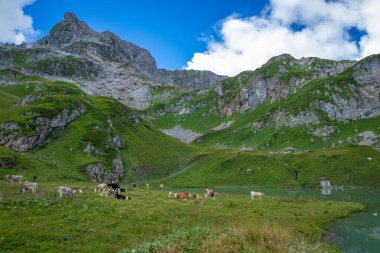 Zuerser 'in muhteşem manzarası ve yansımaları. Avusturya, Vorarlberg' de.
