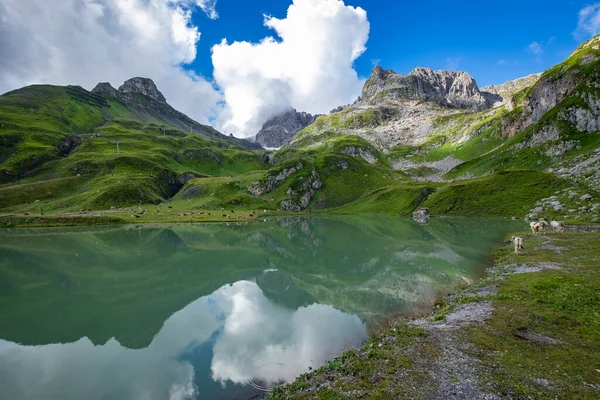 Zuerser 'in muhteşem manzarası ve yansımaları. Avusturya, Vorarlberg' de.