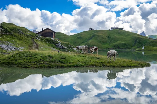 Merveilleux Paysage Réflexions Sur Zuerser See Vorarlberg Autriche — Photo