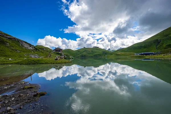 Prachtig Landschap Reflecties Zuersersee Vorarlberg Oostenrijk — Stockfoto