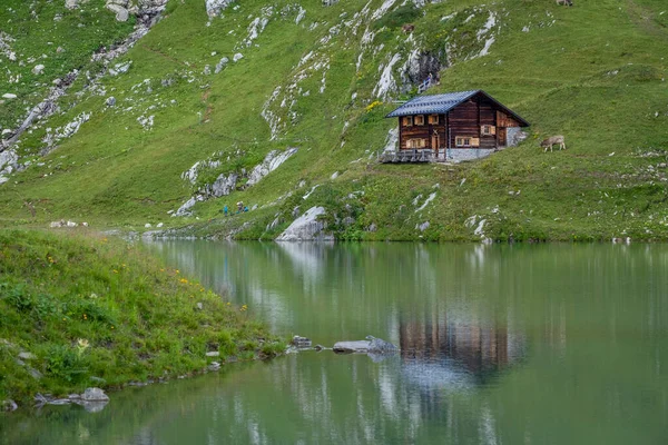 Underbart Landskap Och Reflektioner Zuerser See Vorarlberg Österrike — Stockfoto