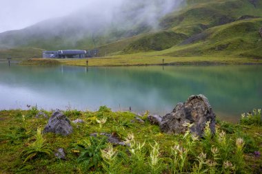 Zuerser 'de sis ve yağmurla harika bir doğa. Vorarlberg, Avusturya' da.