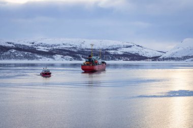 Norveç 'te kışın körfezde tekneler