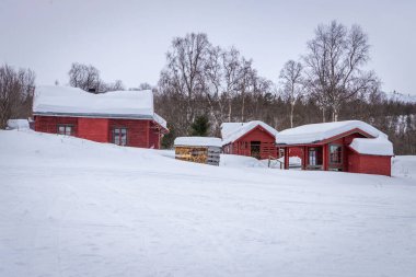 Karla kaplı evleri olan kış manzarası