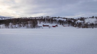 Kış manzarası karla kaplı ağaçlar ve evler