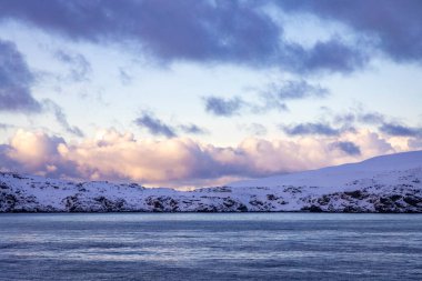Barents Denizi 'nin karlı sahili