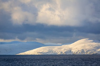 Barents Denizi 'nin karlı sahili