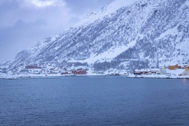 Kuzey Norveç 'te Oksfjord adlı küçük bir köyün limanı etrafında soğuk kış harikalar diyarı