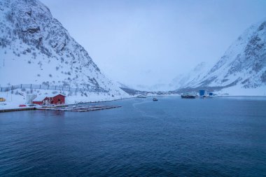 Kuzey Norveç 'teki Oksfjord köyünün limanı etrafındaki harika kış harikalar diyarı.