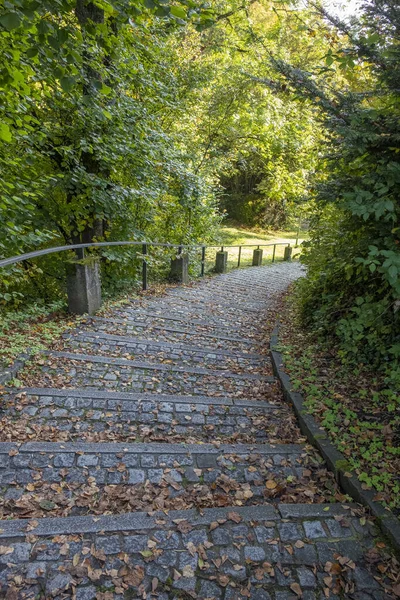 Wandeling Naar Gebhardsberg Bregenz Oostenrijk — Stockfoto