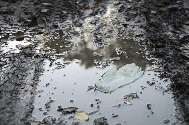 Gün doğumunda tarlada bir dala asılı duran eldiven. Coronavirüs atık konsepti, çevre kirliliği.