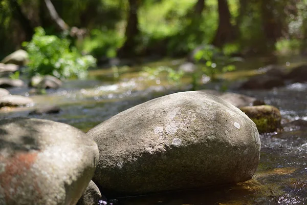 Large Stone River Beautiful Sunlight — Stock Photo, Image