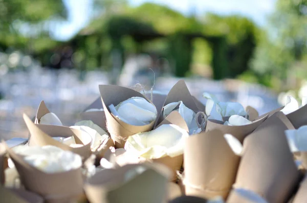 Fondo Boda Con Conos Pétalos Para Los Recién Casados — Foto de Stock