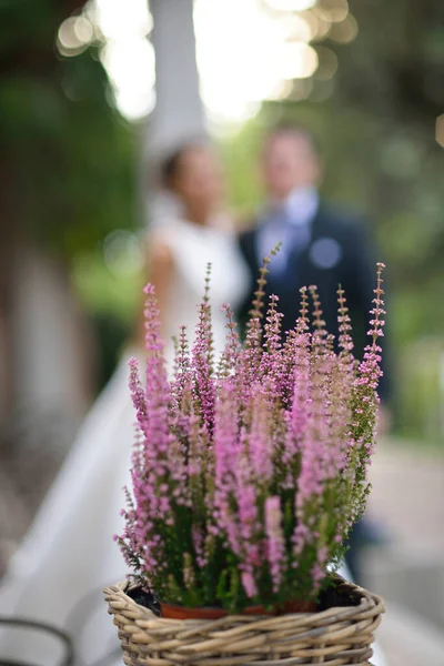 Decoración Floral Bodas Detalles Flores Rosadas Más Borrosa Pareja Boda — Foto de Stock