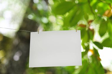 İp, ormana komorabi ışığıyla bırakılmış..