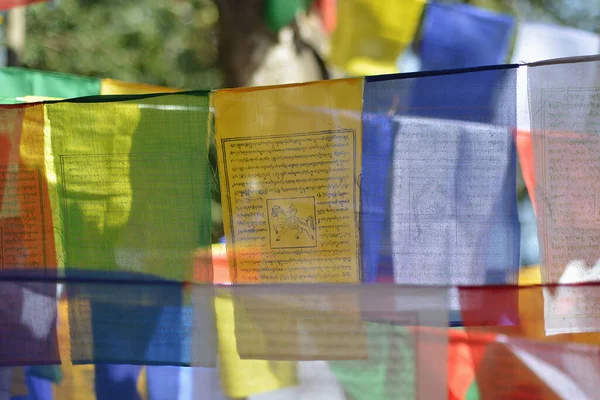 Prayers texts of a colored Tibetan flag.