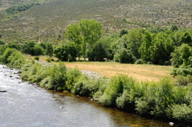 Nehir ve yapraklı ağaçlarla dağların doğal manzarası.