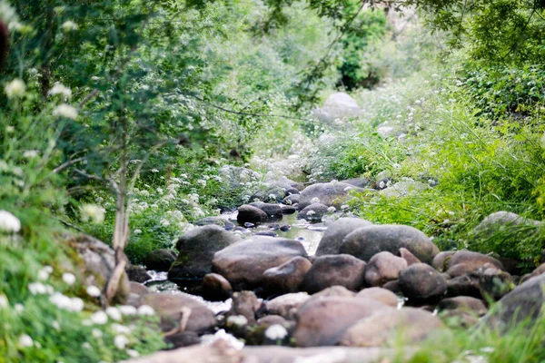 Wasserquelle Der Primevera Mit Felsen — Stockfoto