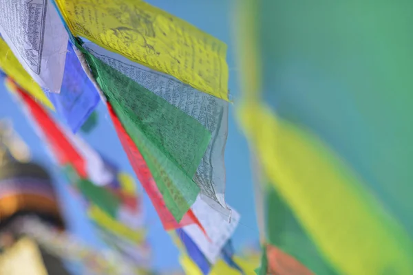 Prières Dans Vent Des Drapeaux Colorés Tibet — Photo