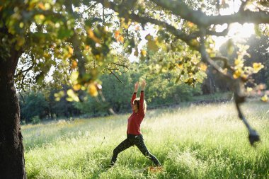 Gün batımında ve ağaçta dinamik yoga yapan genç bir kadın..
