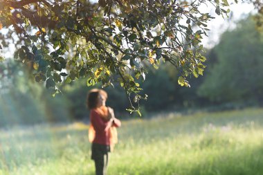 Meditasyon arka planında arka planda kalan ağaç ve kadın silueti meditasyon poziyonunda.