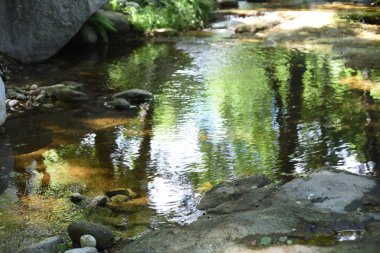 Yaz arkaplanı ve tatlı dağ suyu..