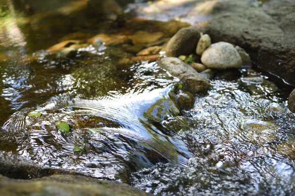 Kristallklares Fließendes Wasser Mit Steinen Den Bergen — Stockfoto