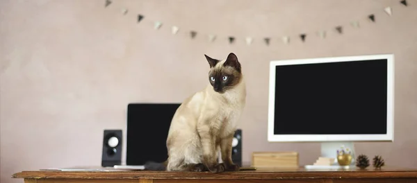 Samenstelling Van Verse Biologische Groenten Gefotografeerd Natuur Met Houten Mandje — Stockfoto