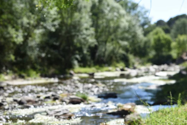Река Горах Камнями Тростником Несфокусированном Изображении — стоковое фото