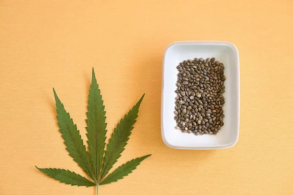 Bir kase dolusu CBD tohumu ve portakal rengi bir arka planda marihuana yaprağı..