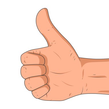 Erkek el baş parmak işareti gösteriyor. Beyaz bir arka planda izole edilmiş. - Yakın çekim. Vektör çizimi. Gerçekçi biçim tasarımı.
