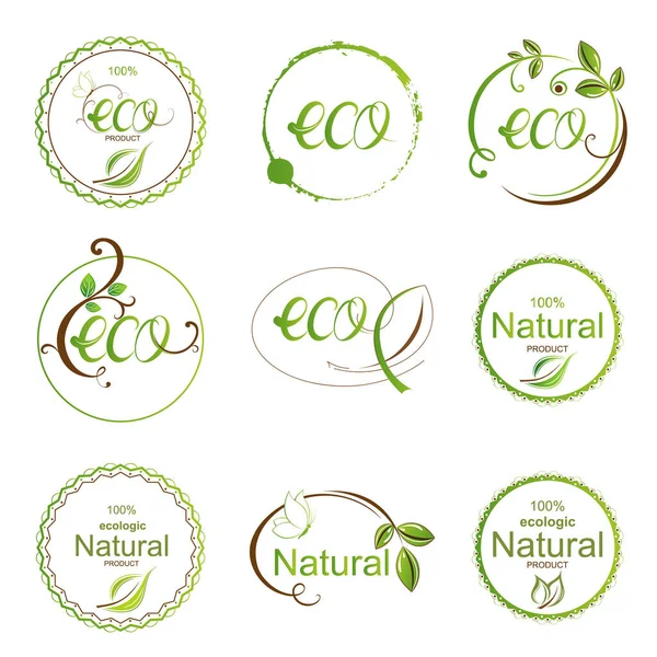 Conjunto Elementos Iconos Florales Ecología Para Diseño — Vector de stock