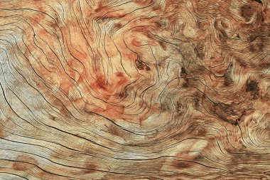 Renkli ahşap doku arka planı. Kavisli çatlaklar, ağaç düğümlü kaba ahşap kök yüzeyi. Arkaplan ürünü için metin ya da iş tasarımı için eski ahşap dokusu. Üst görünüm