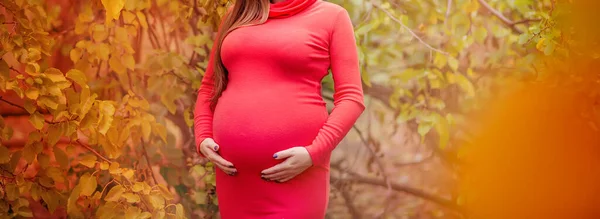 Mujer Embarazada Vestido Rojo Ajustado Queda Bosque Parque Otoño Imagen — Foto de Stock