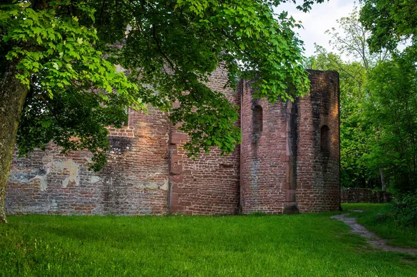 Les Ruines Ancien Monastère Allemagne Lieu Limbourg Été — Photo