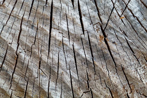 Stará Ošlehaná Prasklá Dřevěná Textura — Stock fotografie