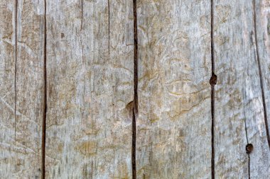 Eskimiş Çatlamış Ahşap Doku