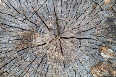 Eskimiş Çatlamış Ahşap Doku