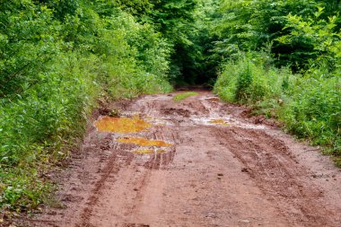 Yağmur Sonrası Su birikintileri olan Kırsal Toprak Yol