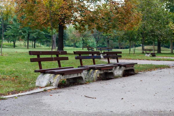 Bancos Vacíos Parque Público Otoño —  Fotos de Stock