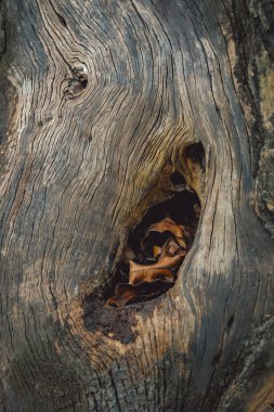 Üzerinde yapraklar olan ahşap bir delik.