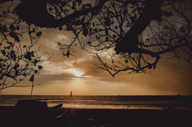 Gün batımında siluet tekne ve ağaç, Cilacap, Endonezya